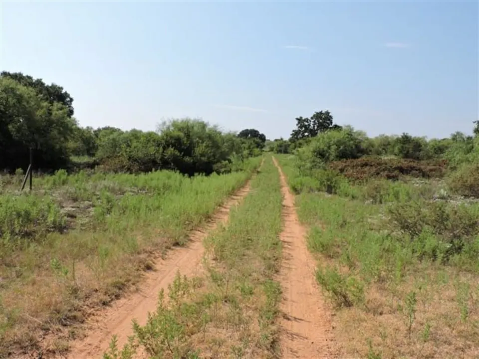 Overview of 1,246 acre hunting land in Jack County, Texas