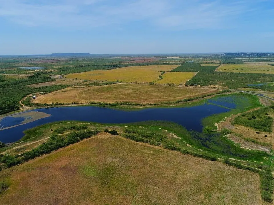 Overview of 128.05 acre hunting land in Taylor County, Texas