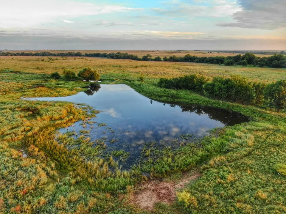 Overview of 1,301 acre hunting land in Clay County, Texas