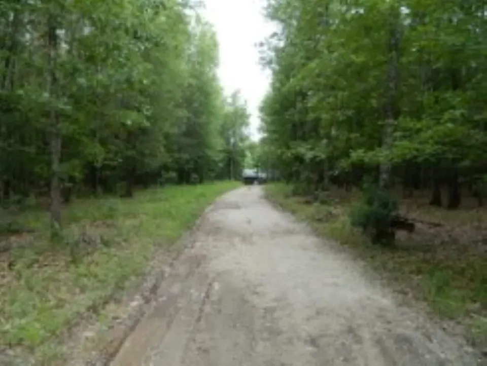 Overview of 131.66 acre hunting land in Red River County, Texas