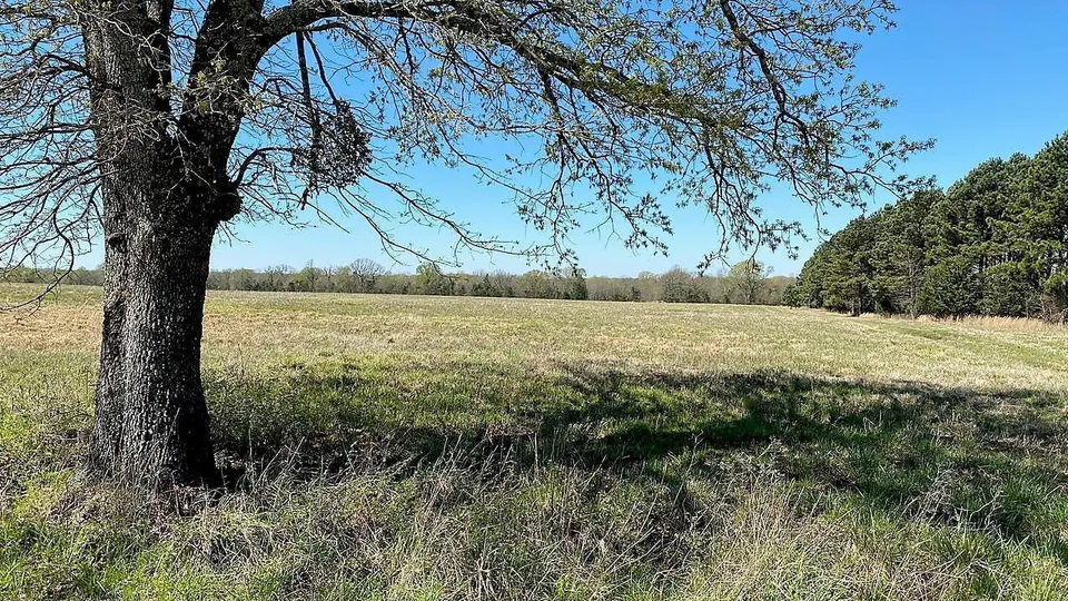 Overview of 14.04 acre timberland in Red River County, Texas