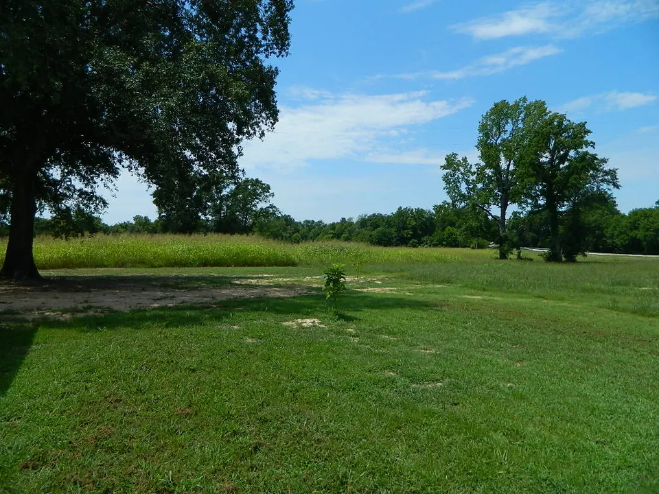 Overview of 15 acre ranch in Red River County, Texas