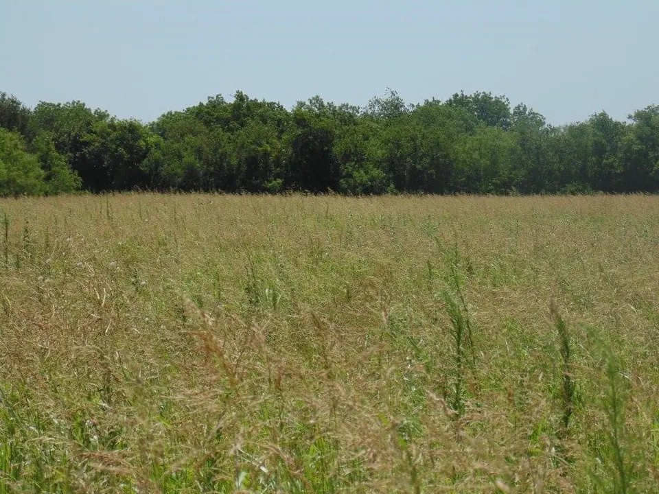 Overview of 10 acre ranch in Taylor County, Texas