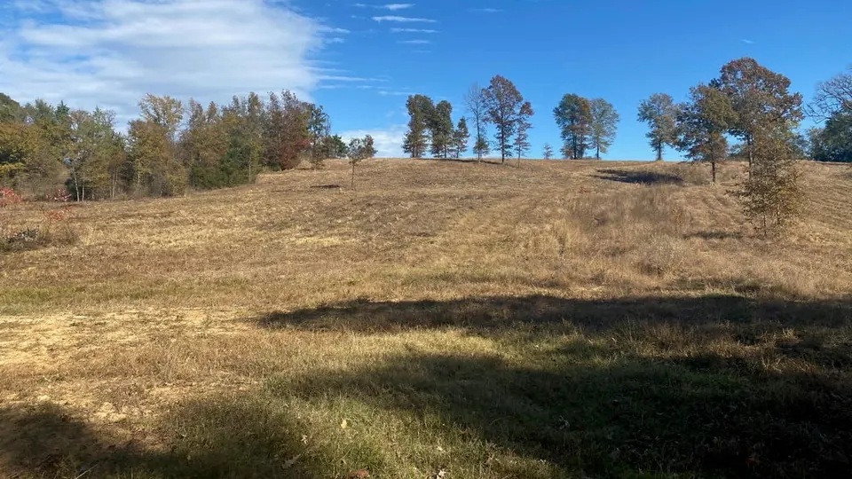 Overview of 151 acre ranch in Morris County, Texas