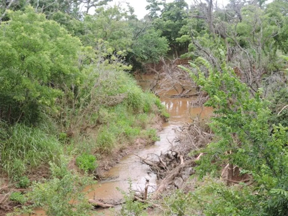 Overview of 156 acre farm in Wichita County, Texas
