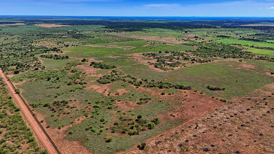 Overview of 157 acre hunting land in Foard County, Texas