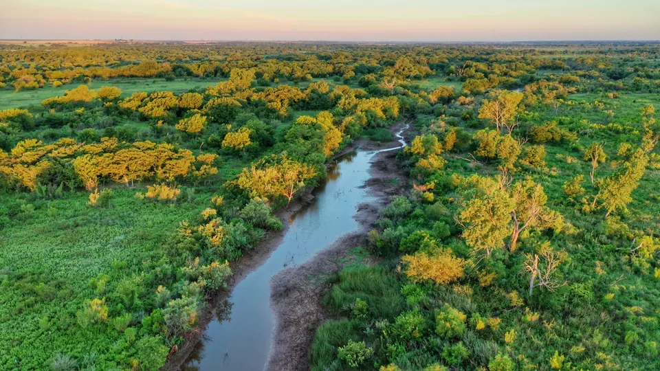 Overview of 1,580 acre hunting land in Wichita County, Texas