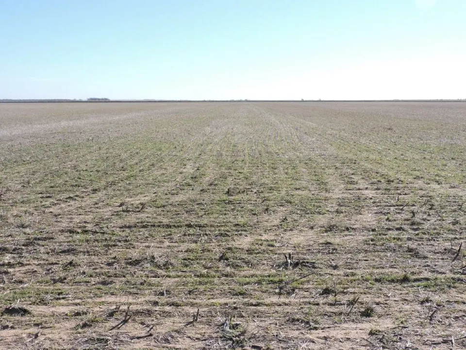 Overview of 160 acre farm in Baylor County, Texas