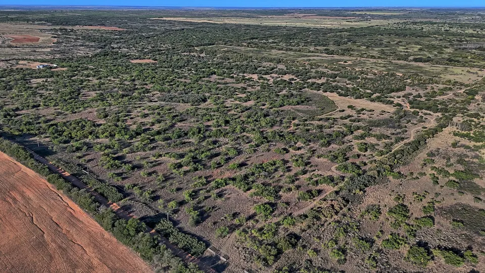Overview of 160 acre hunting land in Hardeman County, Texas