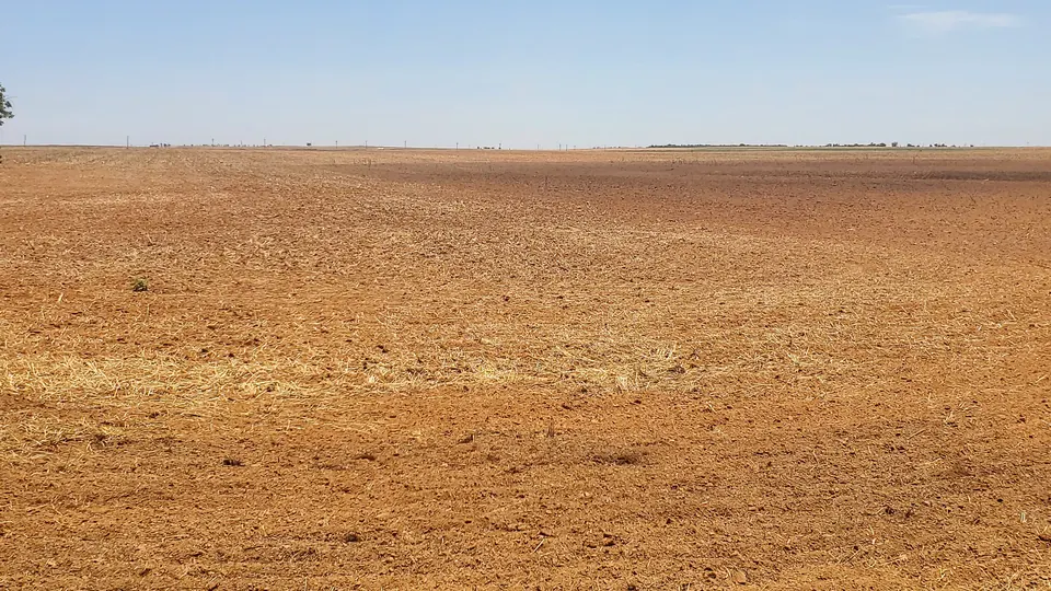 Overview of 160 acre farm in Knox County, Texas