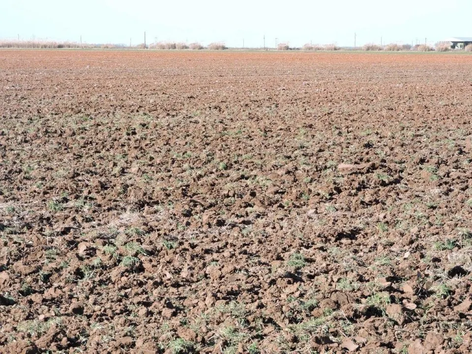 Overview of 163 acre farm in Baylor County, Texas