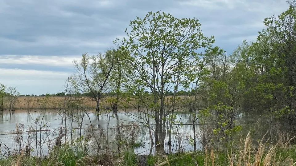 Overview of 163.8 acre farm in Red River County, Texas