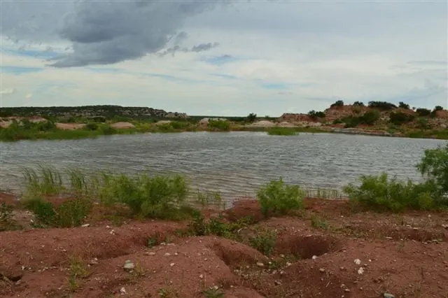 Overview of 1,640 acre hunting land in King County, Texas