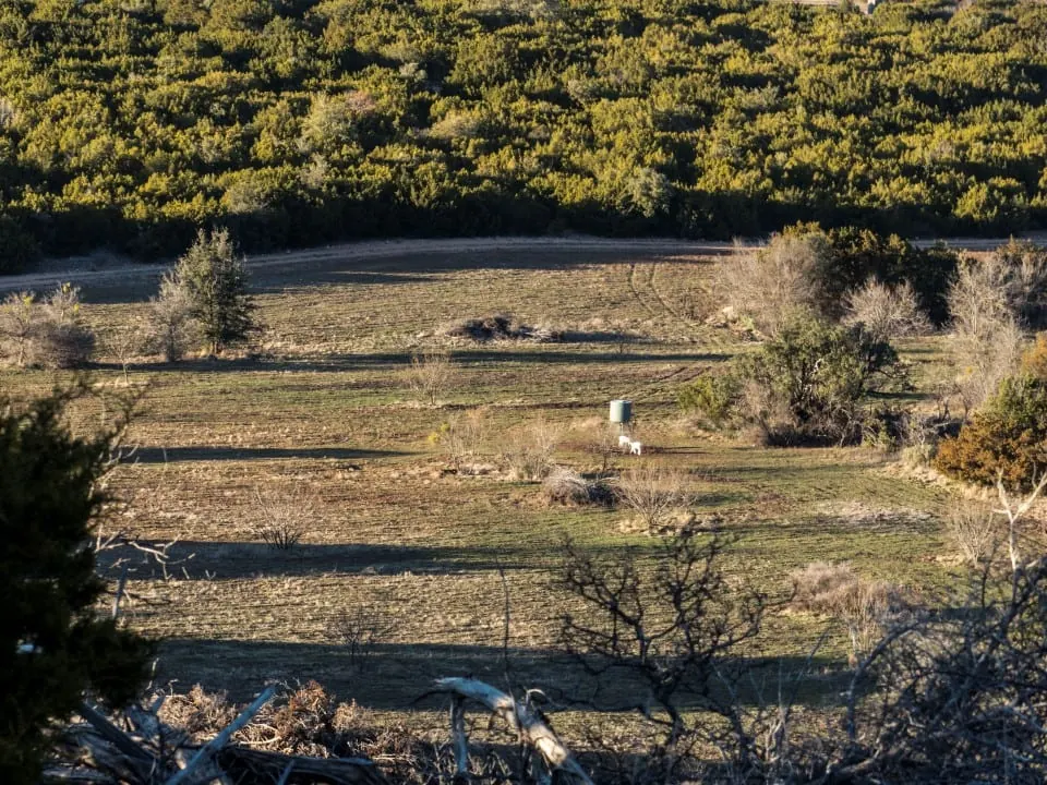 Overview of 1,668 acre ranch in Runnels County, Texas