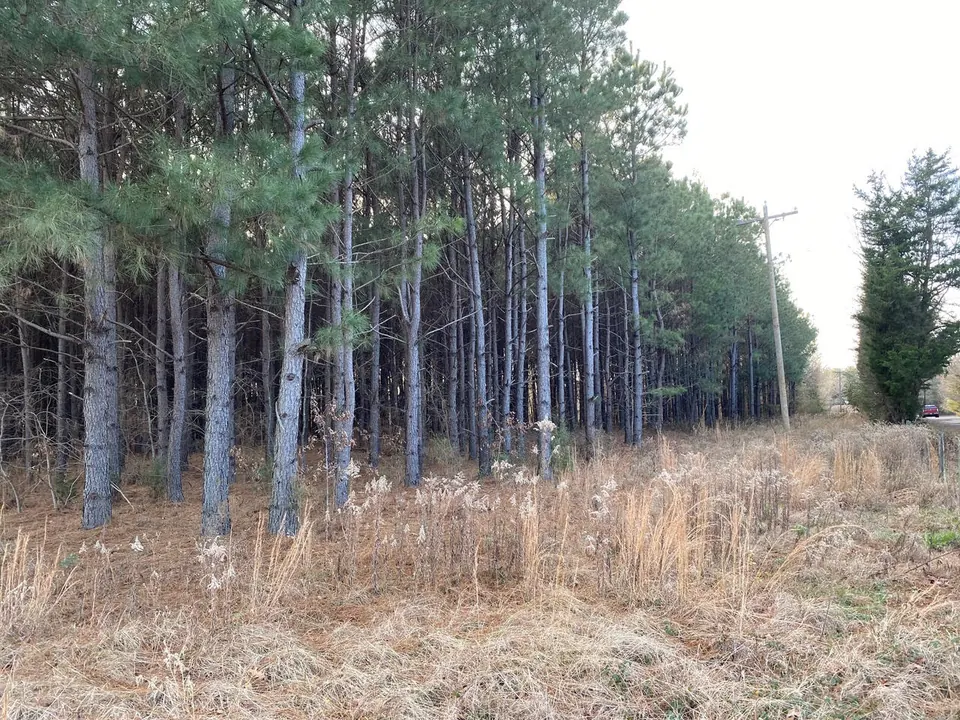 Overview of 17 acre ranch in Morris County, Texas