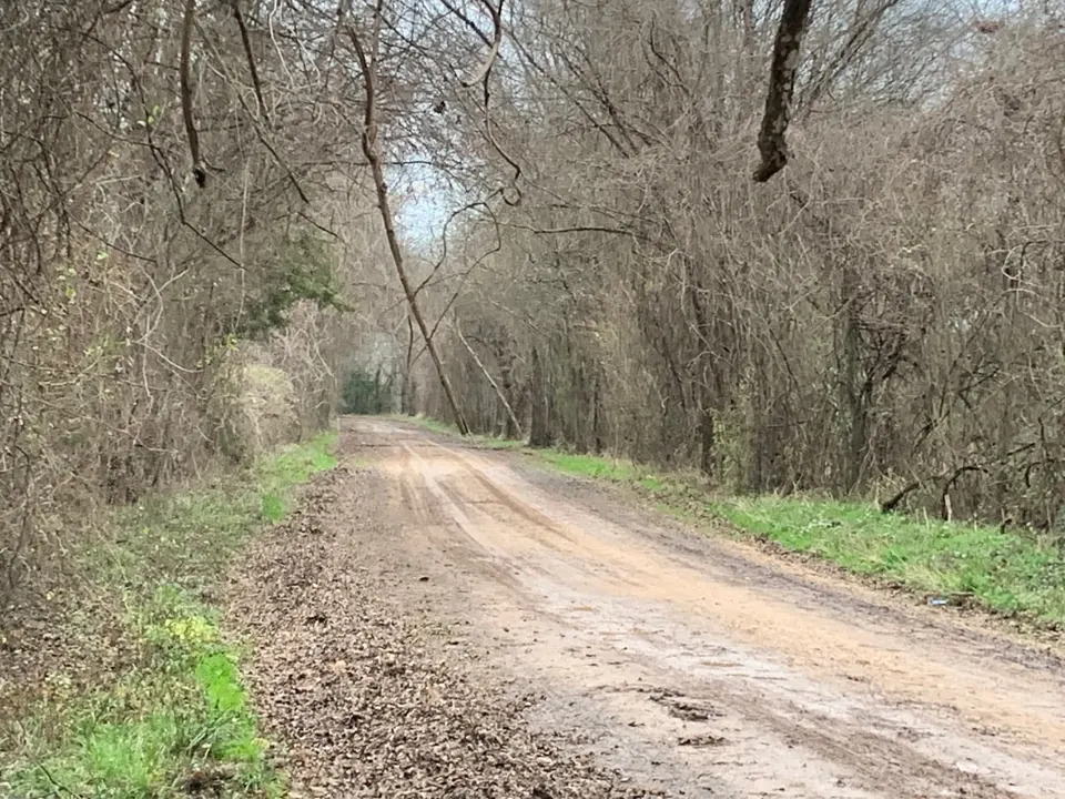 Overview of 176 acre farm in McCurtain County, Oklahoma