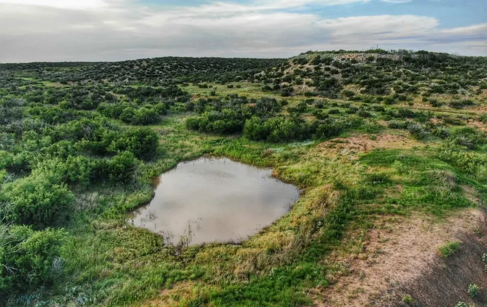 Overview of 1,772 acre hunting land in King County, Texas
