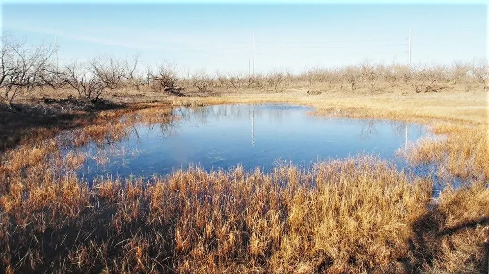 Overview of 18.6 acre hunting land in Jones County, Texas