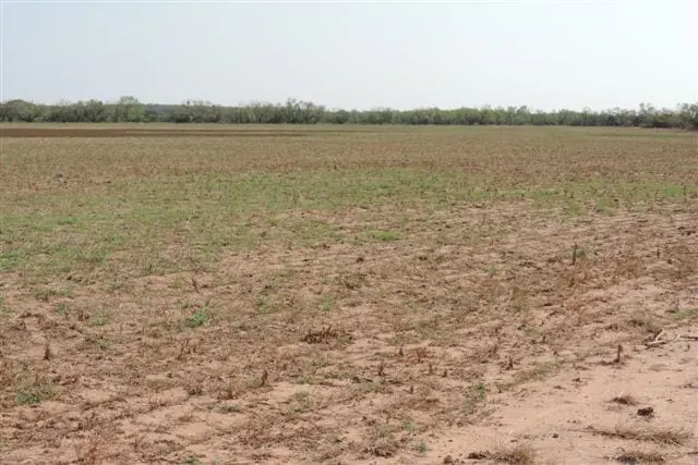 Overview of 1,815 acre hunting land in Baylor County, Texas