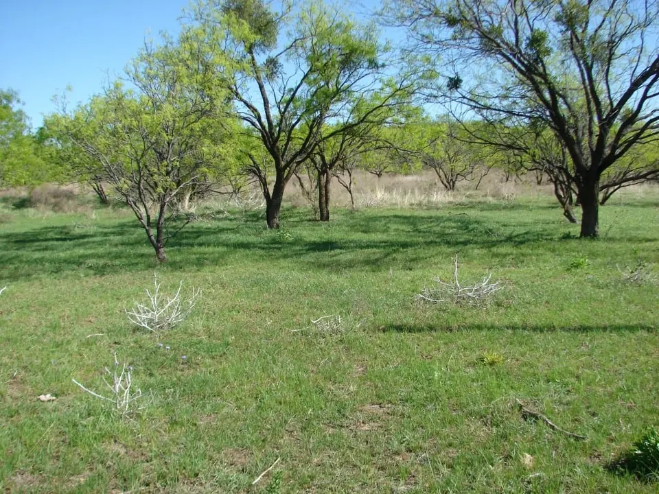Overview of 198 acre farm in Eastland County, Texas
