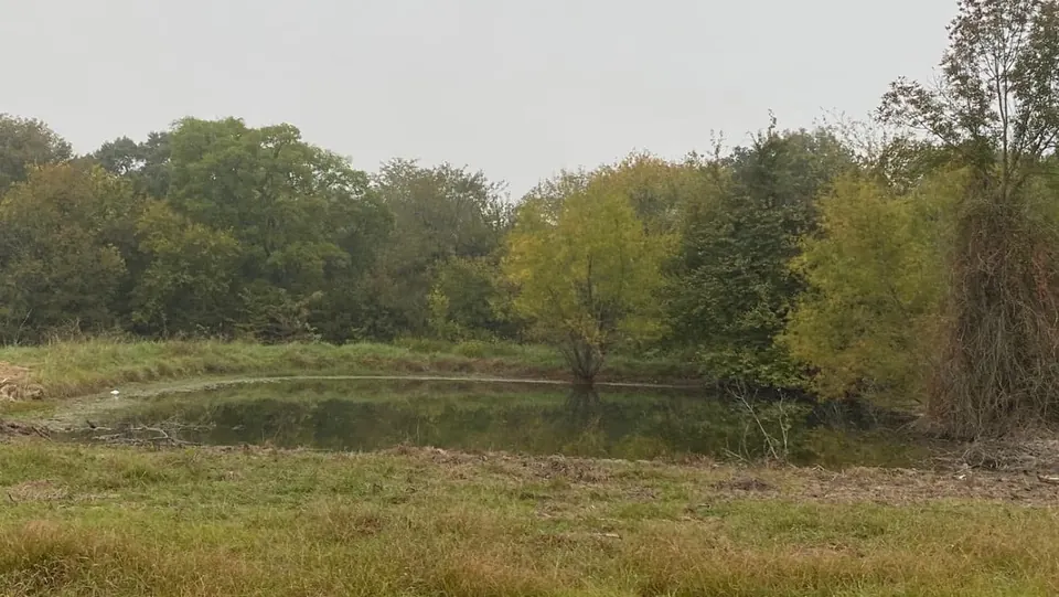 Overview of 157 acre ranch in Red River County, Texas