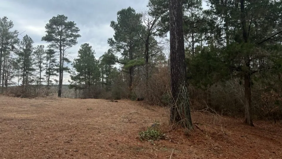 Overview of 20.14 acre timberland in Cass County, Texas