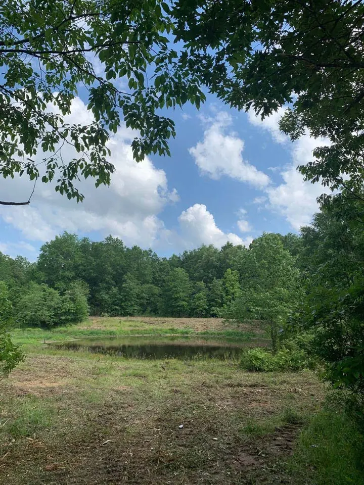 Overview of 20 acre hunting land in Lamar County, Texas