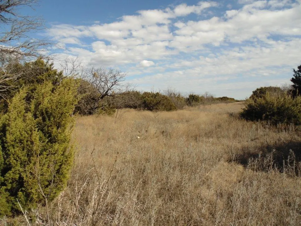 Overview of 20 acre ranch in Taylor County, Texas