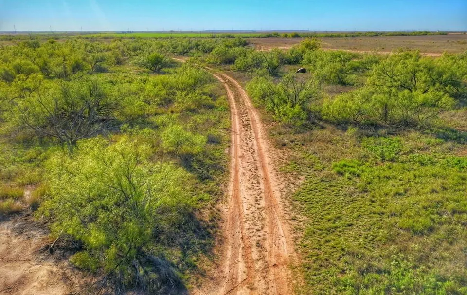 Overview of 200 acre hunting land in Childress County, Texas