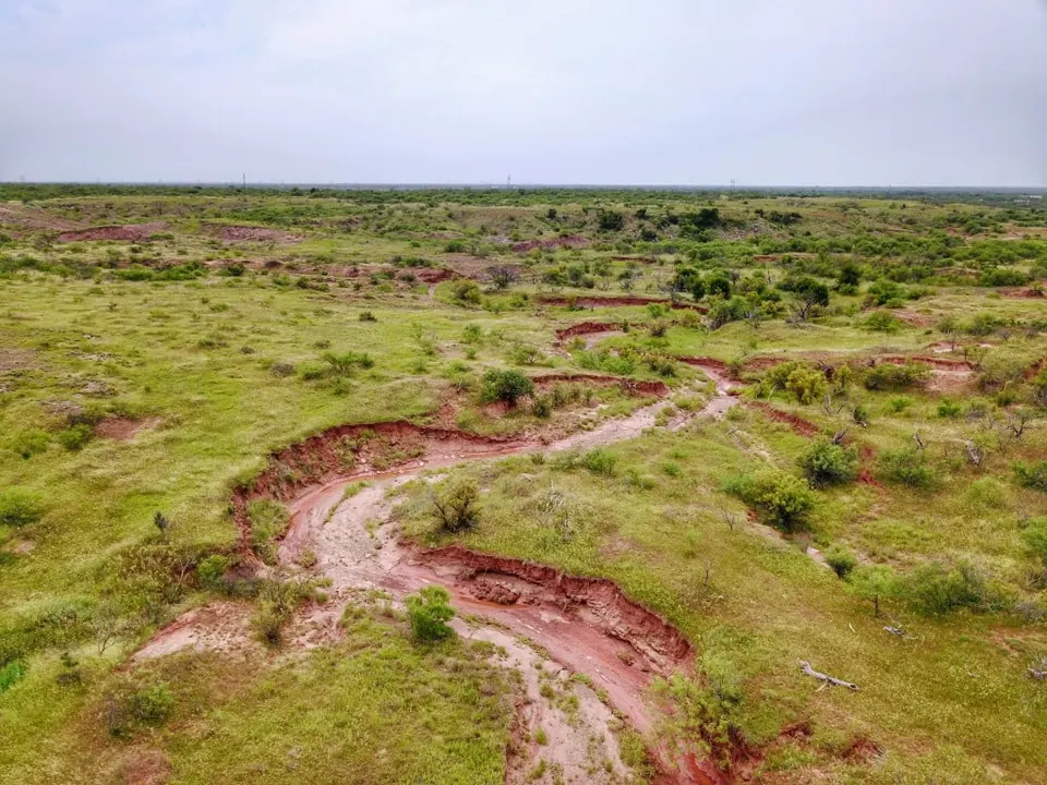 Overview of 210 acre hunting land in Wichita County, Texas
