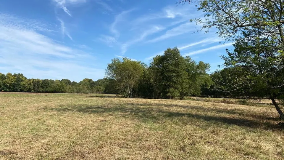 Overview of 226.68 acre ranch in Red River County, Texas
