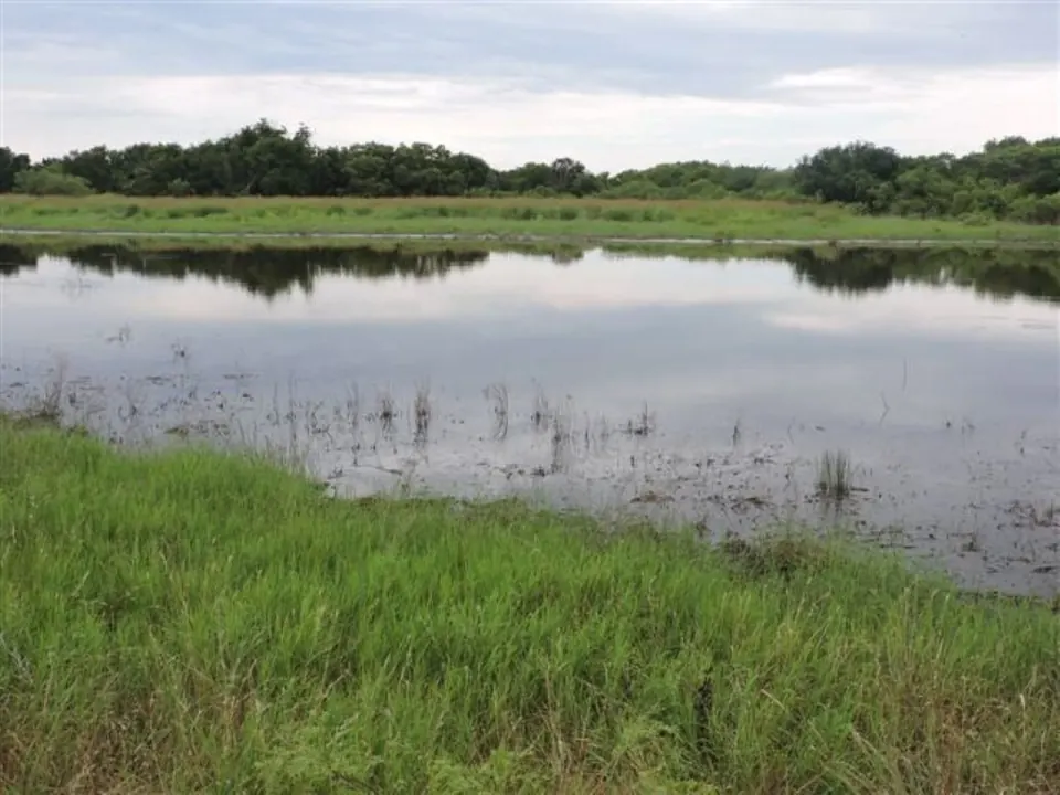 Overview of 103 acre farm in Wichita County, Texas