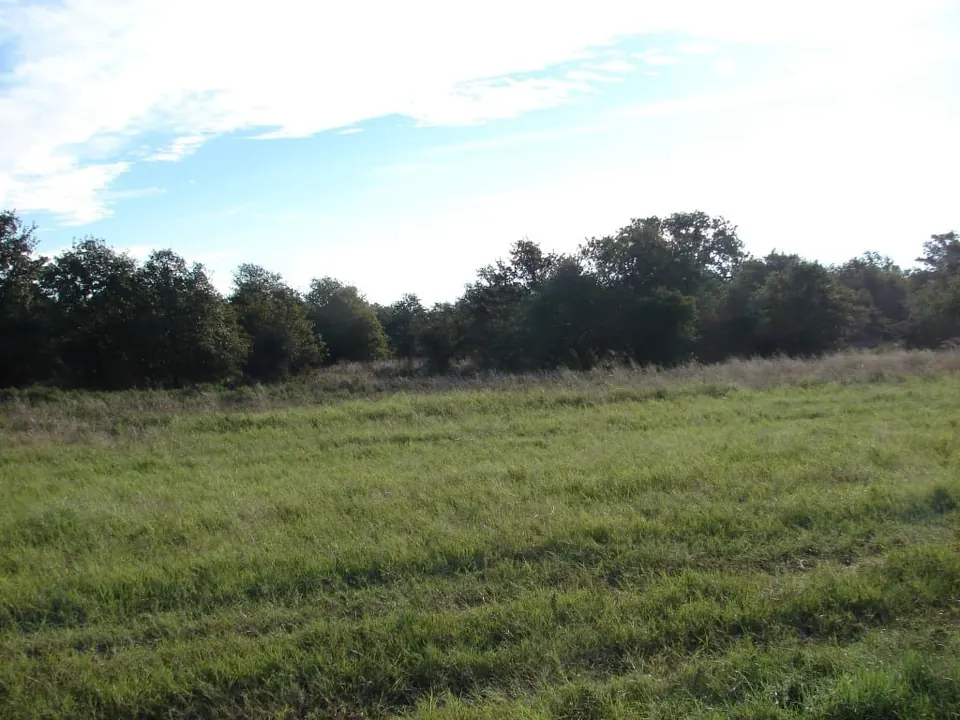 Overview of 234 acre ranch in Callahan County, Texas