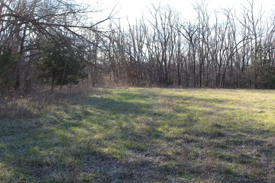 Overview of 245.84 acre timberland in Lamar County, Texas