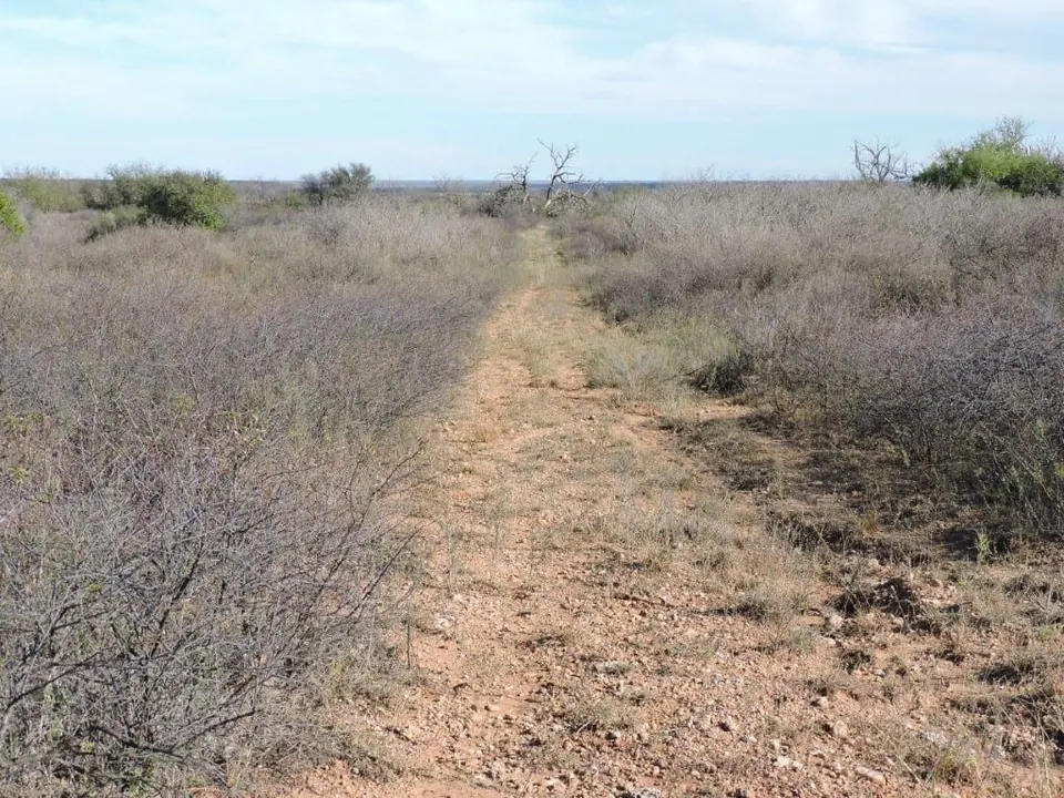 Overview of 247 acre farm in Hardeman County, Texas