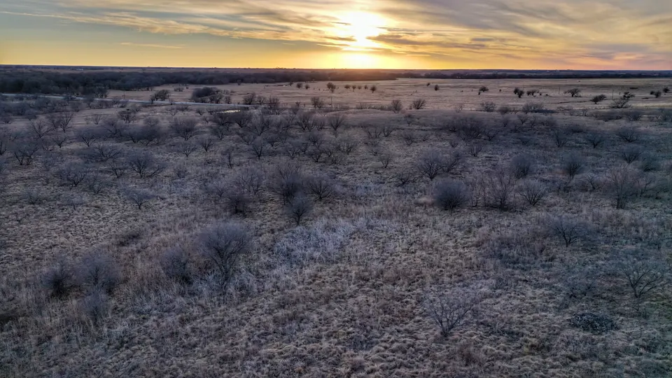 Overview of 25 acre hunting land in Clay County, Texas