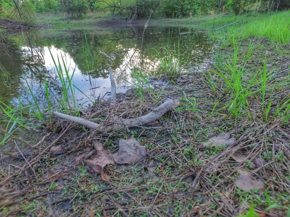 Overview of 25.32 acre farm in Montague County, Texas