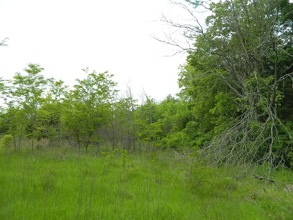 Overview of 25 acre farm in Red River County, Texas