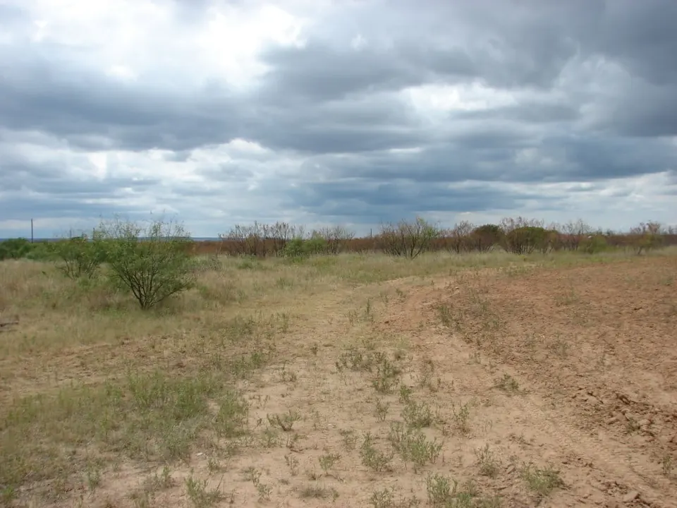 Overview of 27.32 acre ranch in Taylor County, Texas