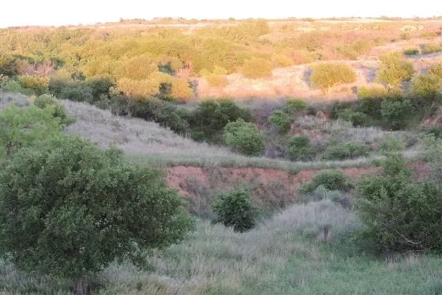 Overview of 270 acre hunting land in Wilbarger County, Texas