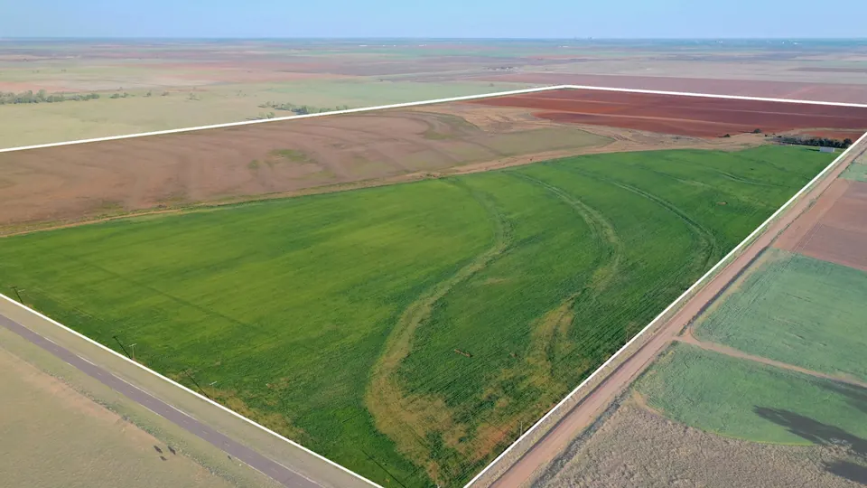 Overview of 270 acre farm in Wilbarger County, Texas