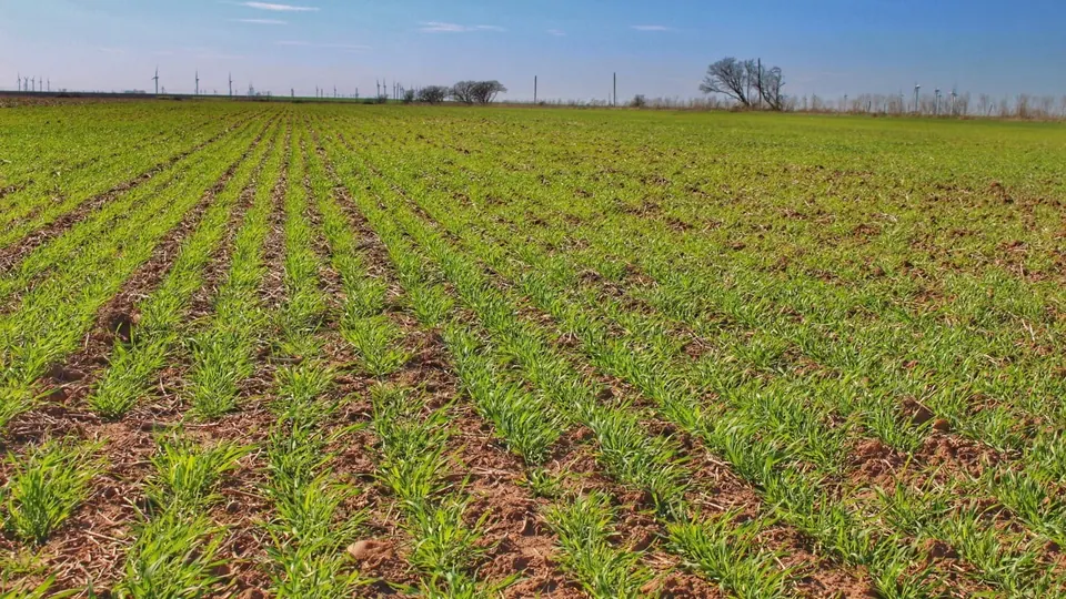 Overview of 271 acre farm in Throckmorton County, Texas