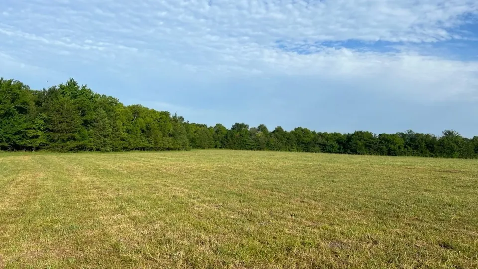 Open pastureland meets a tree line under a blue sky with s, 28 acres in Red River County, 28.00 acres in Red River County, TX