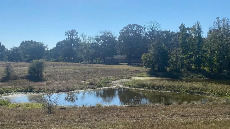 Overview of 28.27 acre ranch in Titus County, Texas