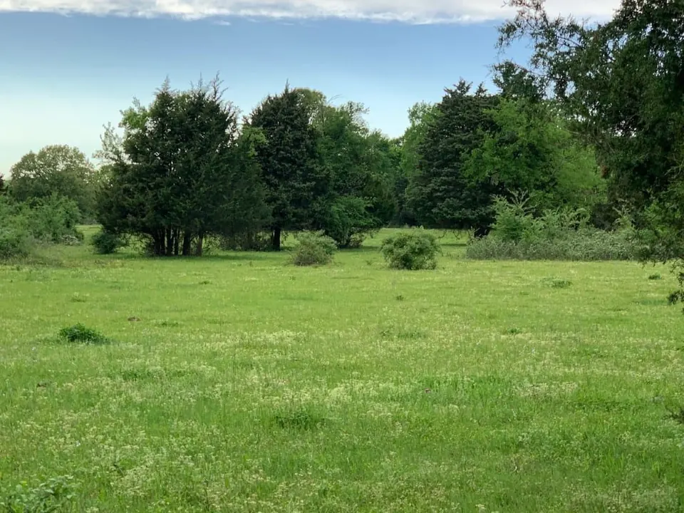 Overview of 4 acre ranch in Franklin County, Texas