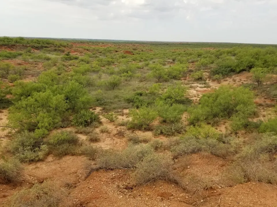 Overview of 320 acre farm in Hardeman County, Texas