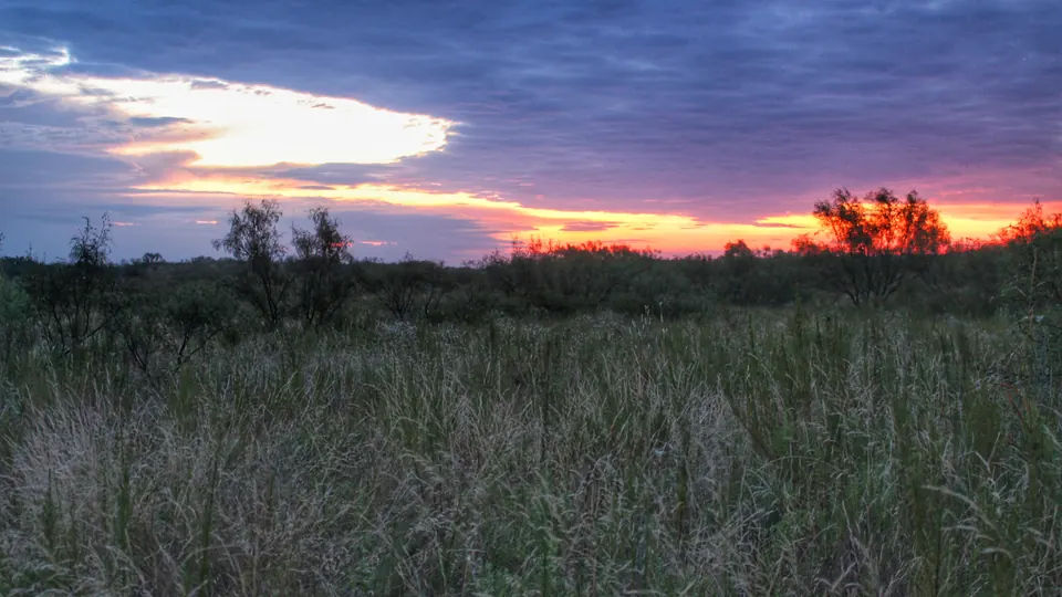 Overview of 326 acre hunting land in King County, Texas