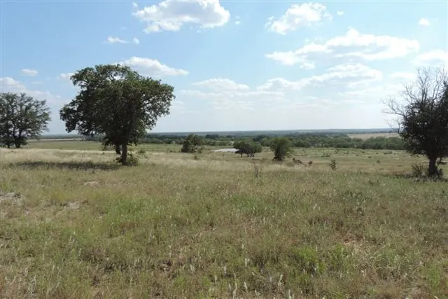 Overview of 332 acre hunting land in Young County, Texas