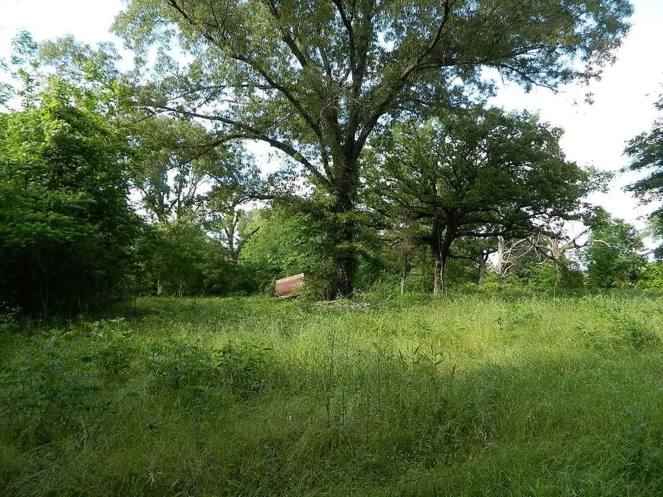 Overview of 11.3 acre timberland in Bowie County, Texas