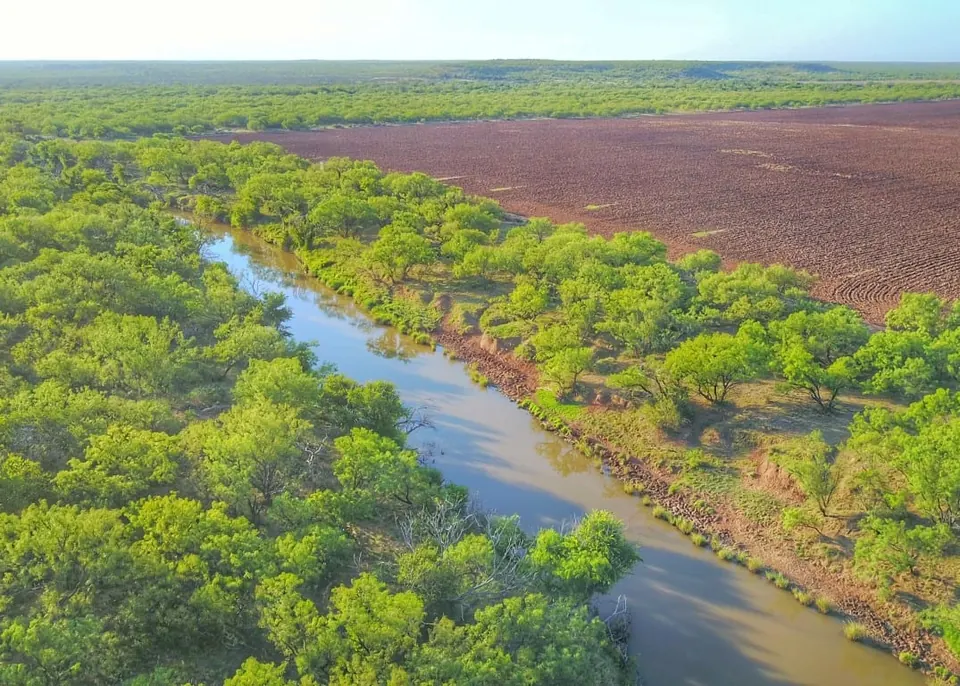 Overview of 359 acre hunting land in Baylor County, Texas